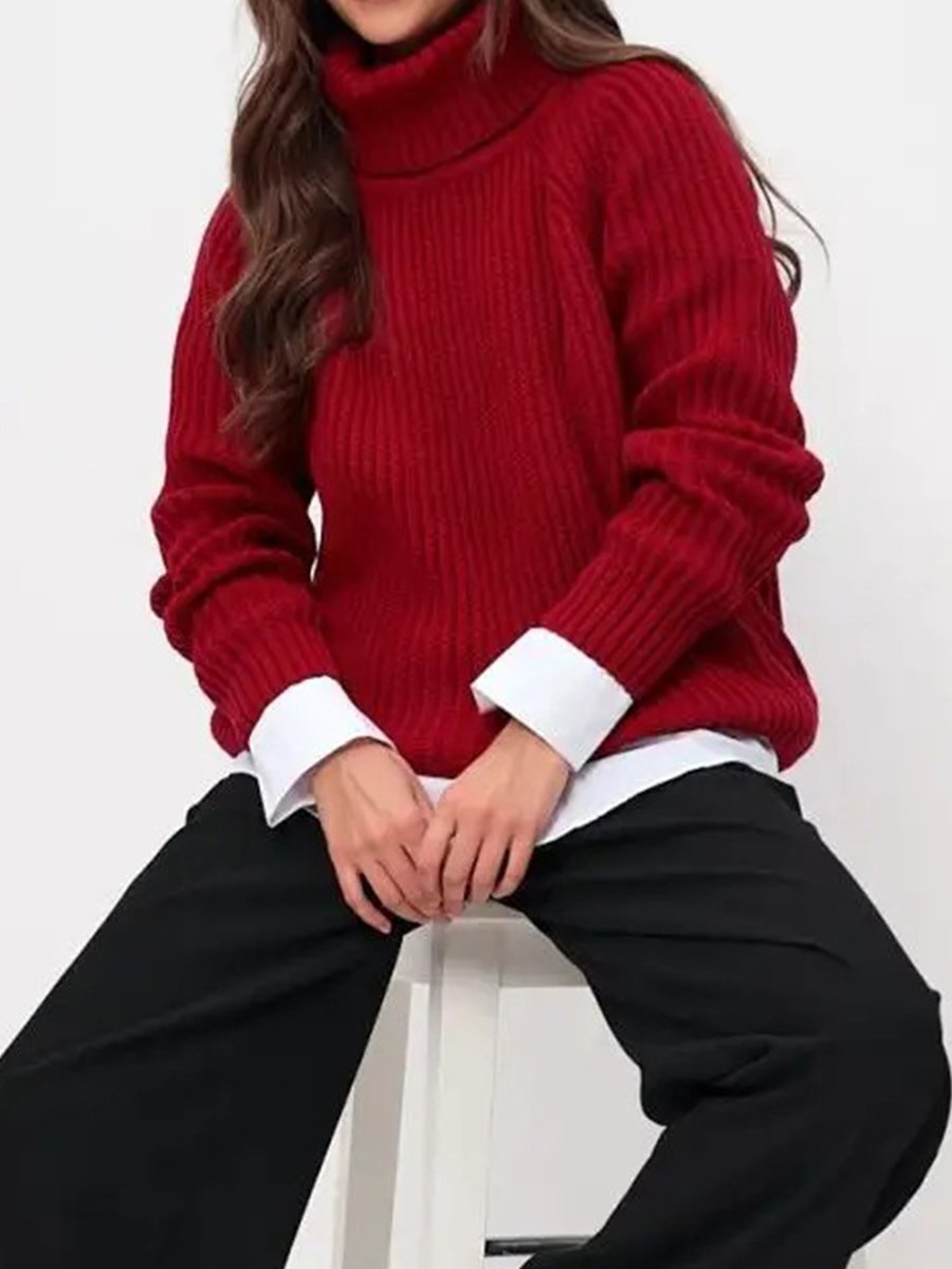 Turtleneck Long Sleeve Sweater
